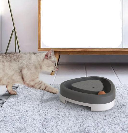Jouet Interactif pour Chat avec Balle - Griffoir et Piste de Jeu pour les Chats Actifs