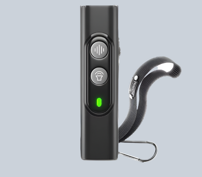 Développeur de Chien Portable avec Télécommande