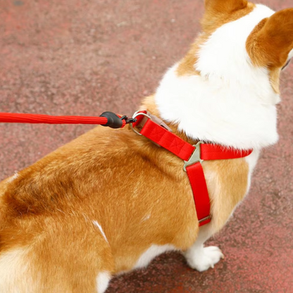 Harnais Pour Chien Réglable Avec Laisse En 5 Couleurs