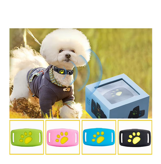 Collier pour Chien avec Fonction Lumineuse Led - Visible dans L' Obscurité Solide et Confortable