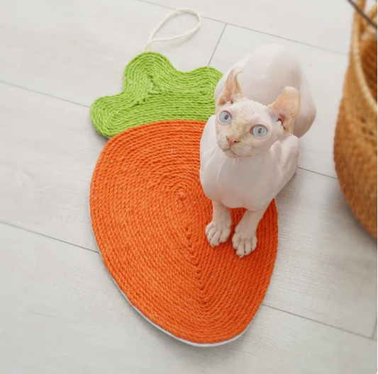 Matériel à Gratter pour Chats en Forme de Fruit - Design Pastèque et Carotte