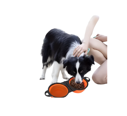 Ecuelle Double Pliable et Réglable pour Animaux Domestiques
