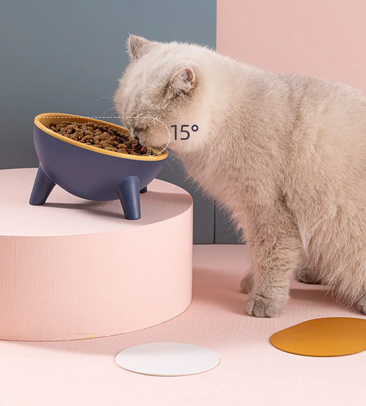 Bol de Nourriture Surélevé pour Chats et Chiens - Design Ergonomique