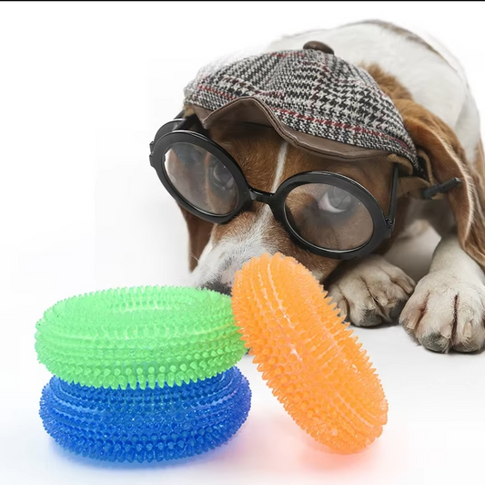 Jouets pour Chiens Anneau de Dentition - Jouet de Dentition Robuste pour le Massage des Dents