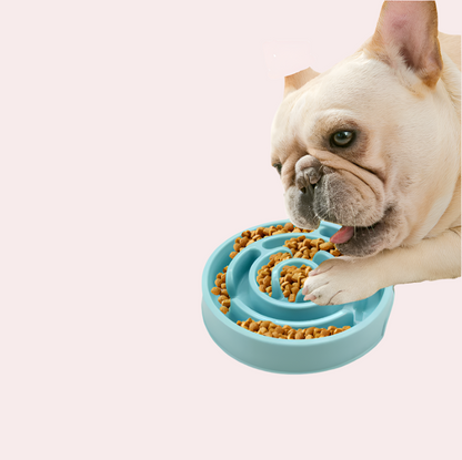 Bol D' Alimentation Lent pour Chiens