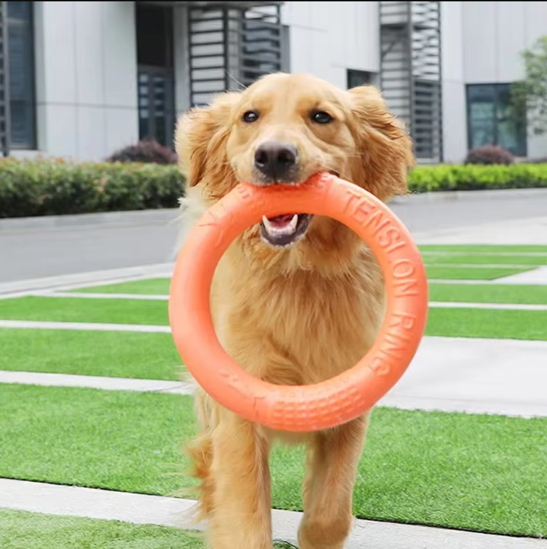 Anneau à Lancer et à Mordre Robuste - Jouet Interactif pour Chien pour un Plaisir Actif