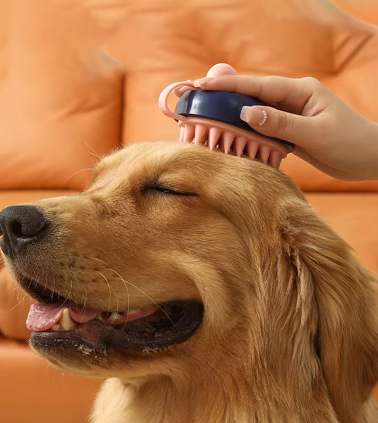 Brosse à Poils pour Animaux de Compagnie - Brosse Efficace pour le Soin et L' Épilation du Pelage des Chiens et des Chats