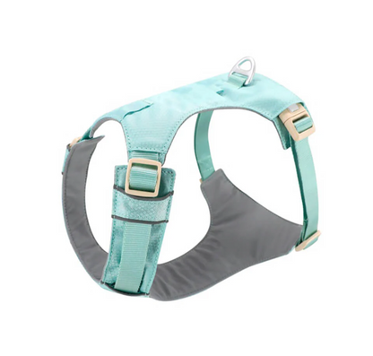 Harnais Anti-traction Pour Chiens Avec Laisse Réglable