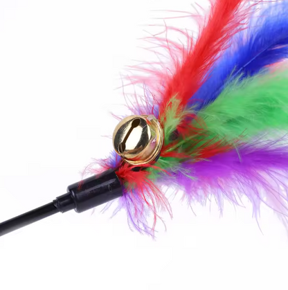 Jouet Pour Chat Avec Plumes Colorées (Lot De 5)