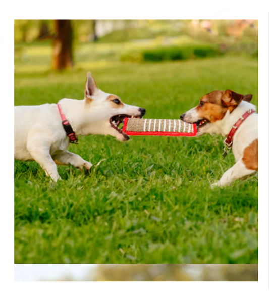 Saucisse à Croquer pour Chiens - Jouet D' Entraînement Robuste en Jute avec Poignées pour Chiots Chiens Adultes