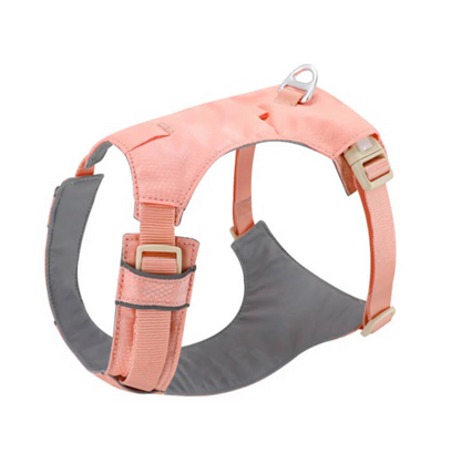 Harnais Anti-traction Pour Chiens Avec Laisse Réglable