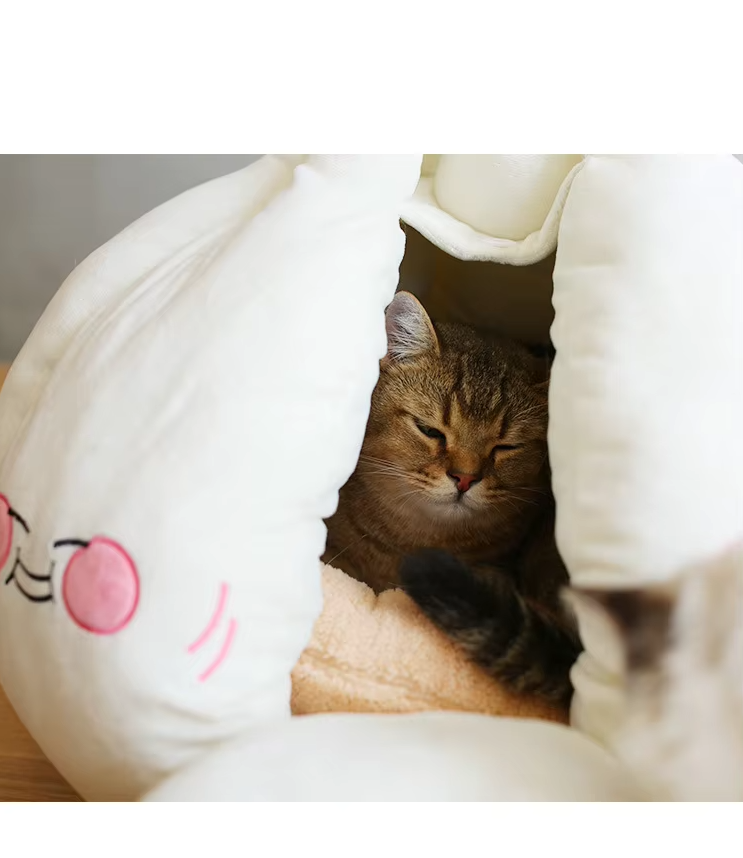 Cave à Chat Douillette - Lit Doux à la Conception D' Ail pour les Chats Petits Chiens