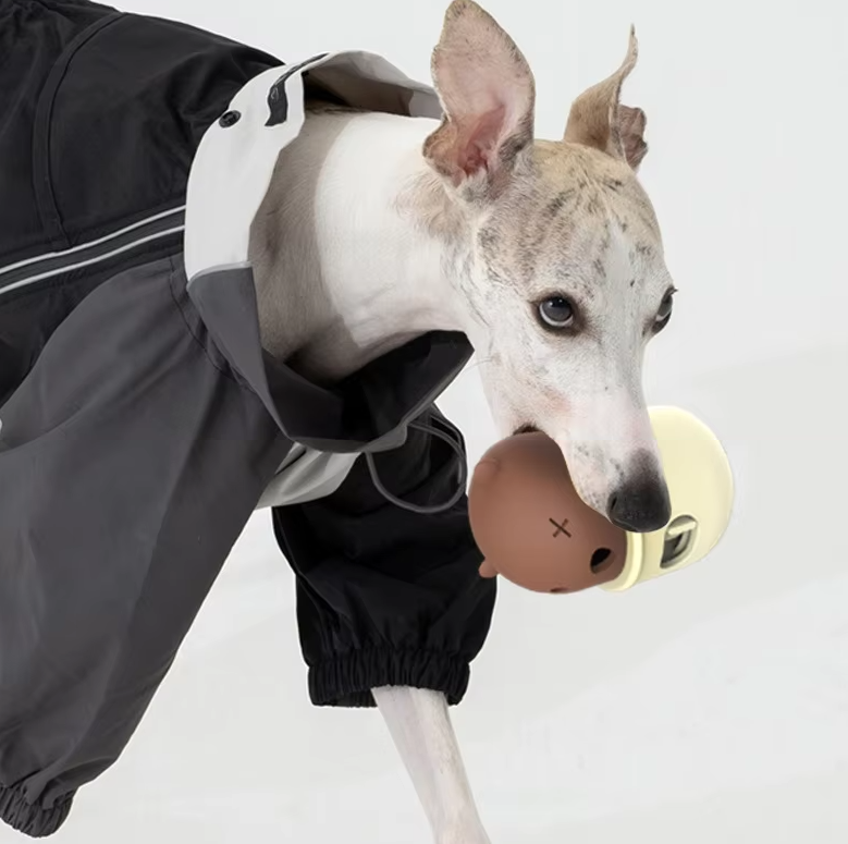 Jouets Interactifs Pour Chiens - Forme D' Ours Avec Mécanisme À Clic Pour Chiens