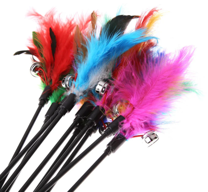 Jouet Pour Chat Avec Plumes Colorées (Lot De 5)