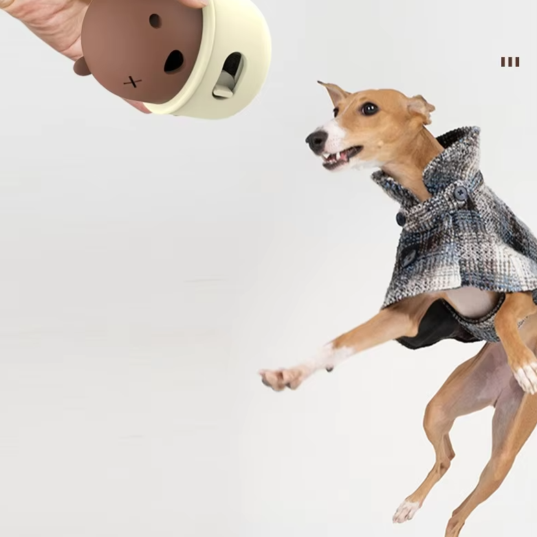 Jouets Interactifs Pour Chiens - Forme D' Ours Avec Mécanisme À Clic Pour Chiens