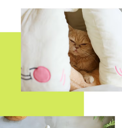 Cave à Chat Douillette - Lit Doux à la Conception D' Ail pour les Chats Petits Chiens