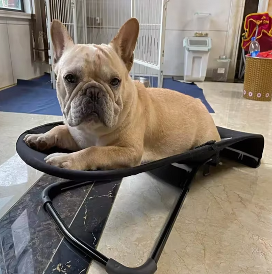 Fauteuil Confortable Pour Chiens Et Chats – Antidérapant Et Relaxant