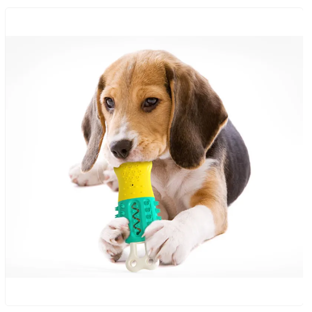 Jouets À Mâcher Pour Chiens - Jouets Interactifs Avec Fonction De Succion Pour L' Hygiène Dentaire