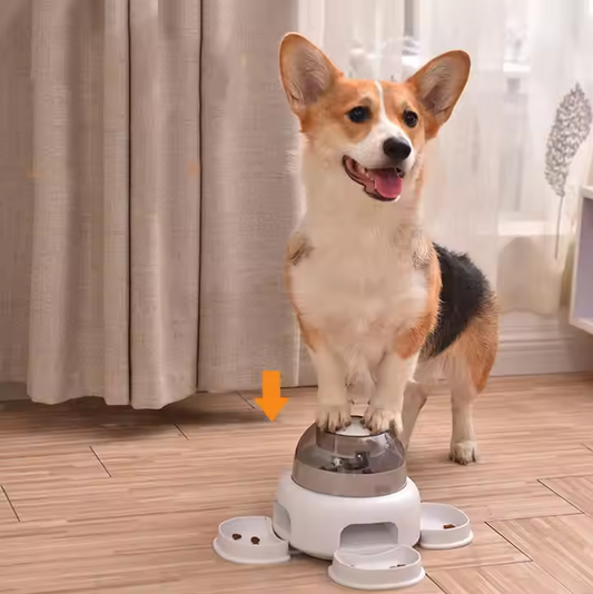 Distributeur de Nourriture pour Chiens avec Compartiment Transparent - Remplissage Facile et Nourriture Visible