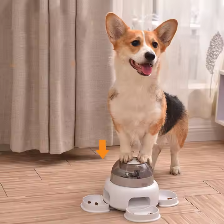Distributeur de Nourriture pour Chiens avec Compartiment Transparent - Remplissage Facile et Nourriture Visible