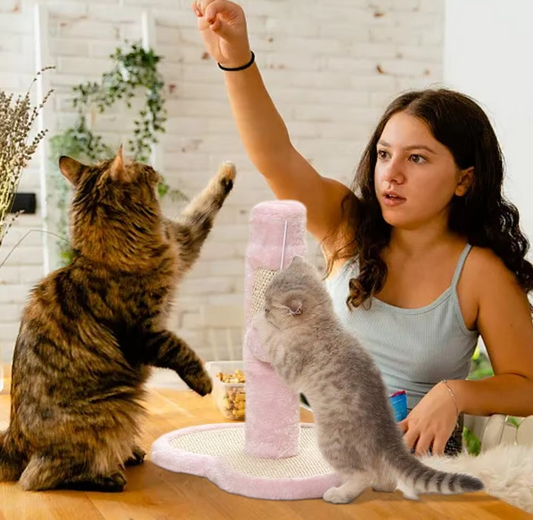 Arbre à Chat en Forme de Cœur ou D' Étoile avec Jouets