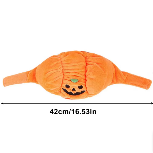 Costume Citrouille D'halloween Pour Chiens