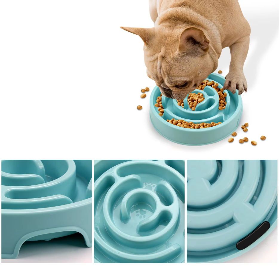 Bol D' Alimentation Lent pour Chiens