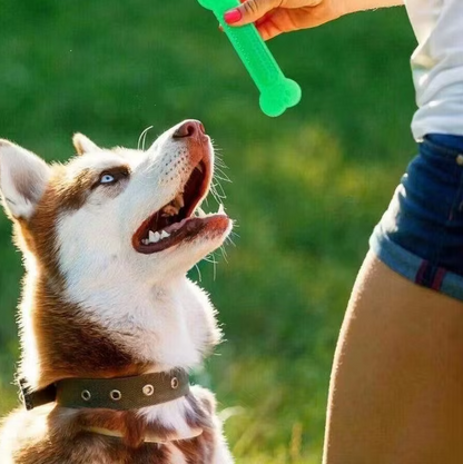 Article à Mâcher pour Chiens - Jouet de Dentition Robuste en Caoutchouc