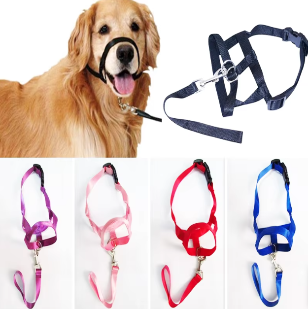 Harnais Réglable Avec Laisse Pour Chiens De Taille Petite Et Moyenne