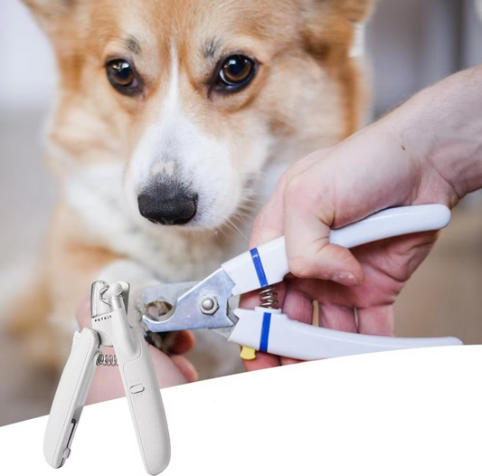 Soins des Griffes Électroniques pour les Animaux de Compagnie - Coupe de Précision des Griffes pour les Chiens et les Chats