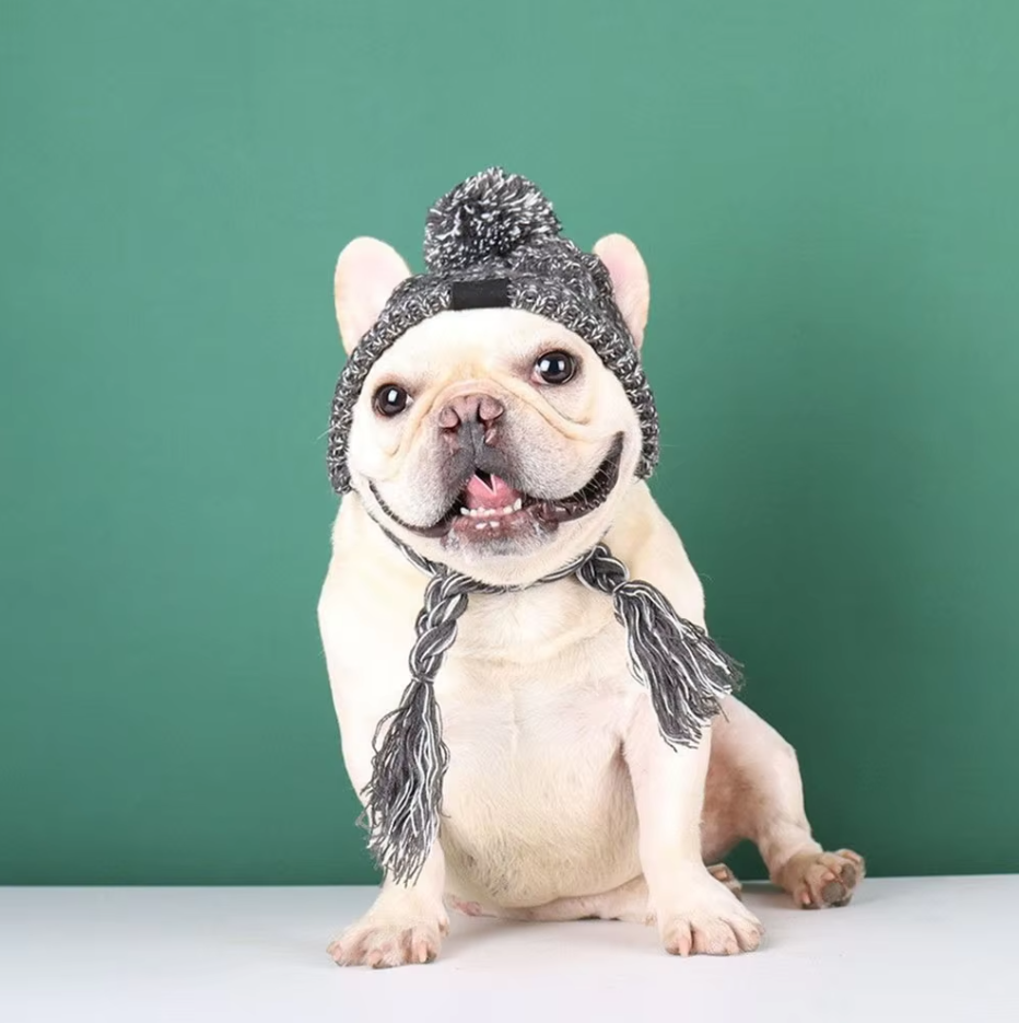 Casquette En Tricot Pour Animaux Domestiques Avec Pompon Et Pompons Torsadés En Rose