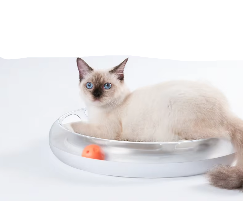 Jouets Interactifs pour Chats - Griffoir avec Balles pour des Heures de Plaisir