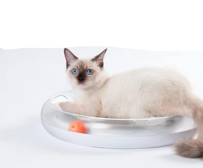 Jouets Interactifs pour Chats - Griffoir avec Balles pour des Heures de Plaisir