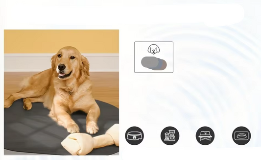 Nourriture en Silicone pour Animaux Domestiques - Tapis Étanche et Antidérapant pour Chiens et Chats