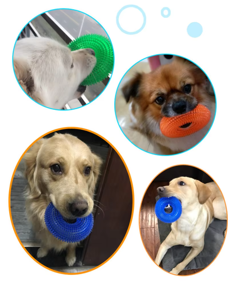 Jouets pour Chiens Anneau de Dentition - Jouet de Dentition Robuste pour le Massage des Dents