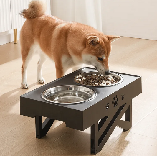 Porte-écuelle Surélevé pour Chiens avec Deux Bols en Acier Inoxydable