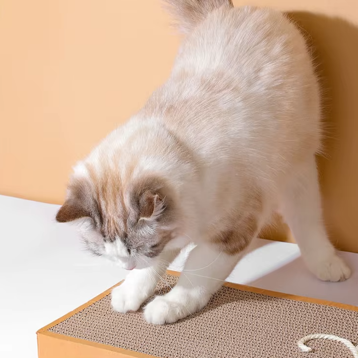 Plat à Gratter pour Chats - Tapis à Gratter Robuste avec Motif Ludique