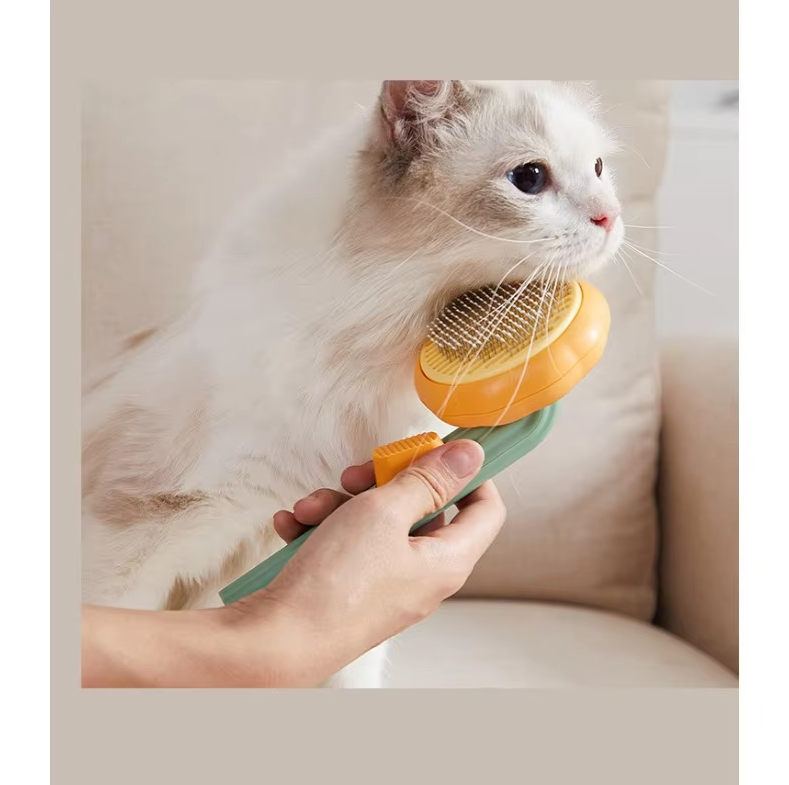 Brosse à Poils pour Chats - Soin Doux pour les Poils de Chats