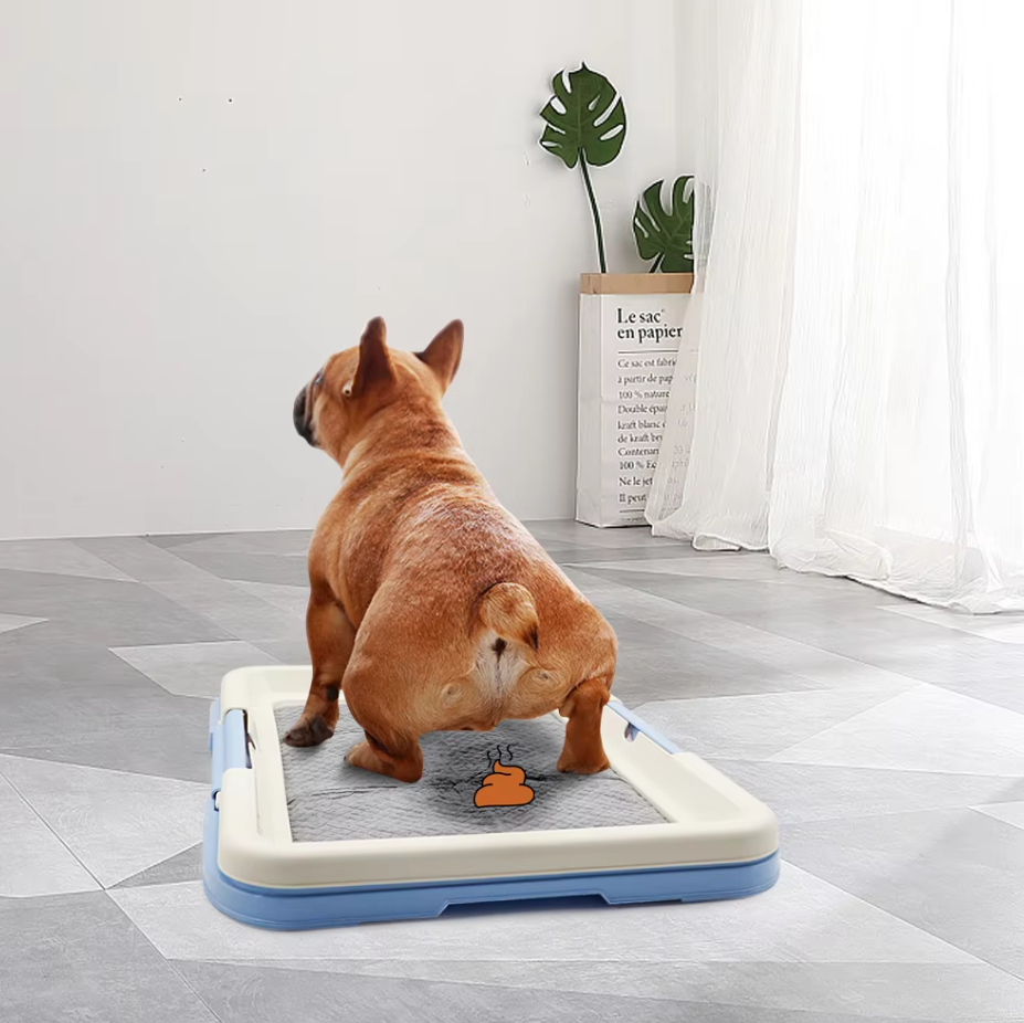 Wc Chiens Intérieur - Toilettes Propres avec Tapis Antidérapant pour Chiots Petits Chiens