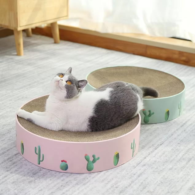 Boucle en Carton pour Chat avec Design Cactus - Griffoir de Style Moderne