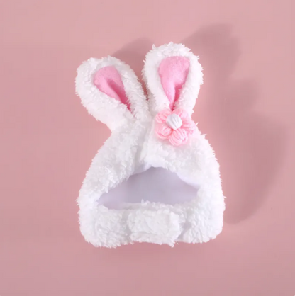 Chapeau pour Chat avec Oreilles de Lapin et Design Carotte ou Fleur pour des Photos Adorables de Compagnons