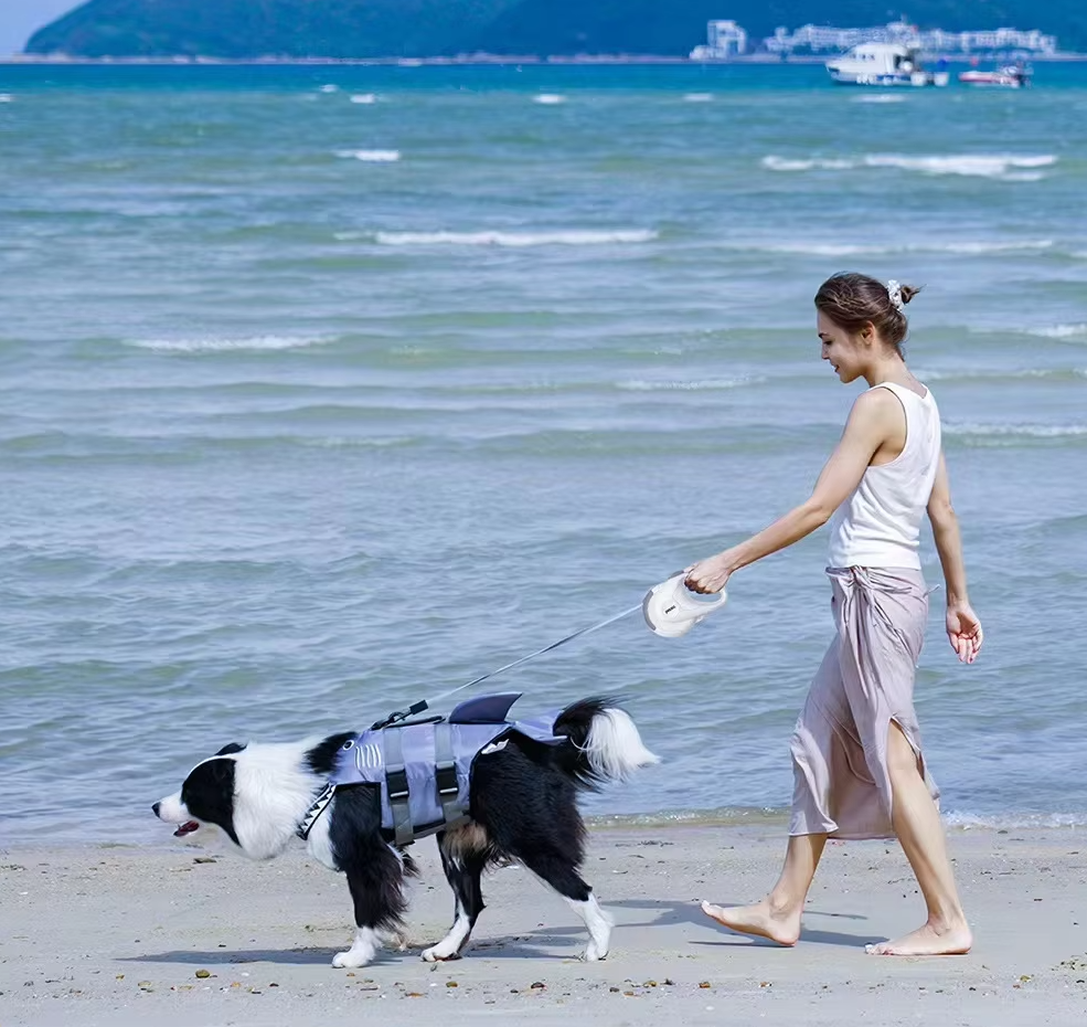 Retour Automatique De La Laisse Du Chien Avec Mécanisme De Rotation - 5 M De Laisse Flexible Pour Chiens