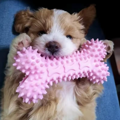 Jouets pour Chiots - Jouets à Mâcher en Peluche Résistant à la Morsure pour Chiens