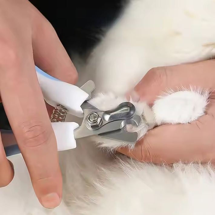 Ciseaux À Griffes Pour Animaux Domestiques Avec Fermeture De Sécurité Et Lime