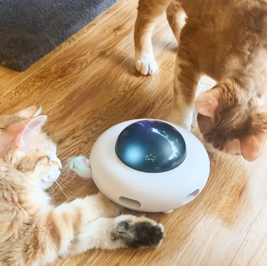 Jouet Interactif pour Chats avec Lumières Led et Plume de Queue