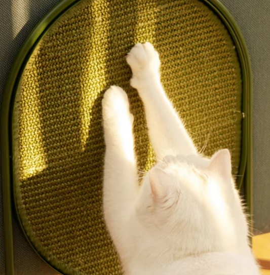 Arbre à Chat au Design Moderne - Jouet en Sisal pour le Soin des Griffes des Chats