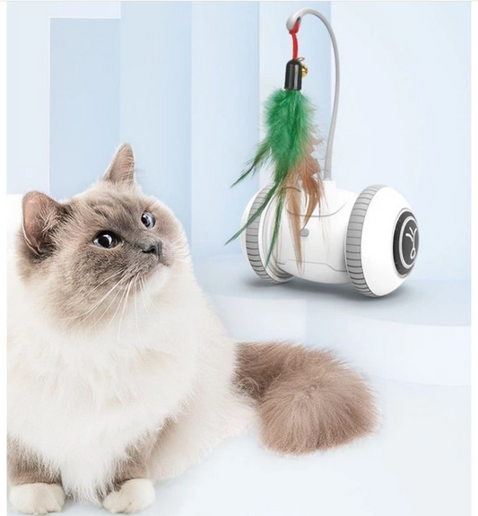 Jouet Interactif pour Chats avec Plumes - Jouet Robot pour Chats