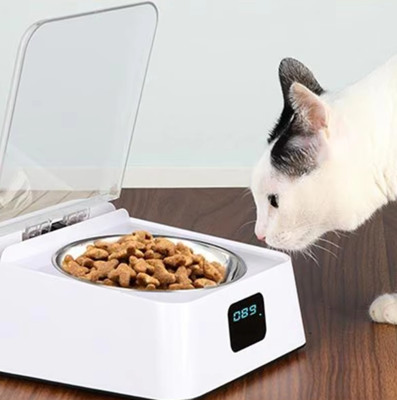 Distributeur Automatique de Nourriture pour Chats avec Affichage Numérique et Couvercle