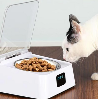 Distributeur Automatique de Nourriture pour Chats avec Affichage Numérique et Couvercle