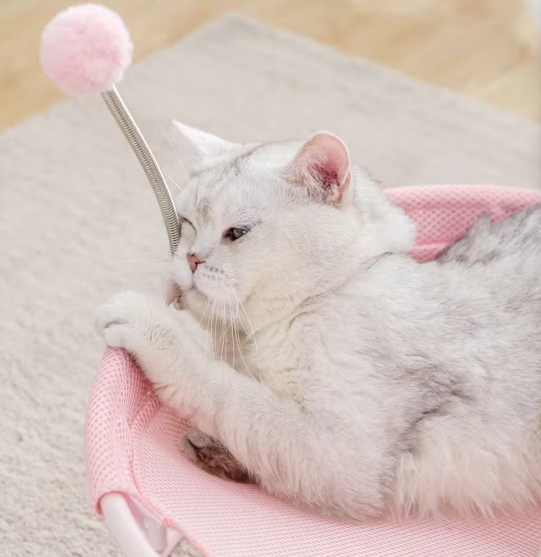 Hamac pour Chats Rond - Lieu de Repos Confortable pour Chats avec Balles de Jeu Châssis Stable